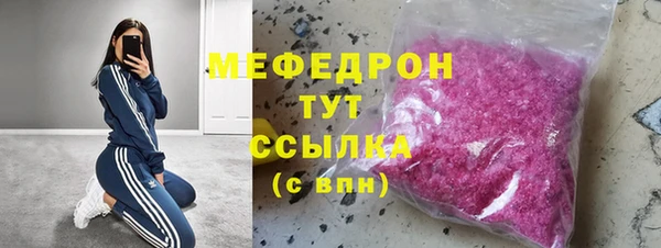хмурый Аркадак