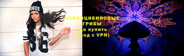 хмурый Аркадак