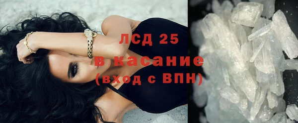 хмурый Аркадак