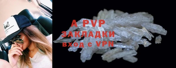 индика Богданович