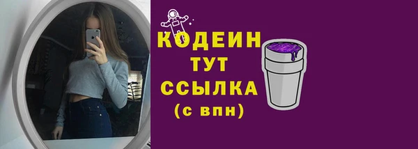СК Богородицк