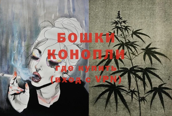 индика Богданович