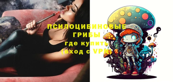 хмурый Аркадак