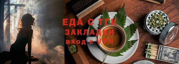 хмурый Аркадак