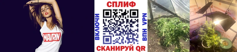 Канабис AK-47  где продают наркотики  Рыбинск 